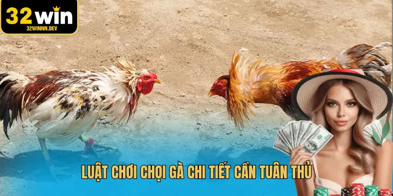 Luật chơi chọi gà chi tiết cần tuân thủ