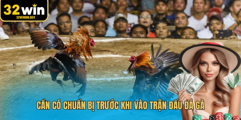 Cần có chuẩn bị trước khi vào trận đấu đá gà