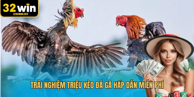 Trải nghiệm triệu kèo đá gà hấp dẫn miễn phí