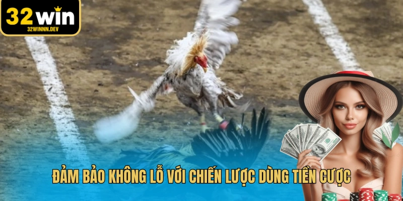 Đảm bảo không lỗ với chiến lược dùng tiền cược