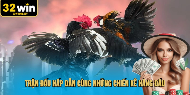 Theo dõi cá cược gay cấn với phần thưởng cực kỳ giá trị
