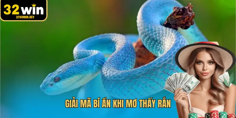 Giải mã bí ẩn khi mơ thấy rắn