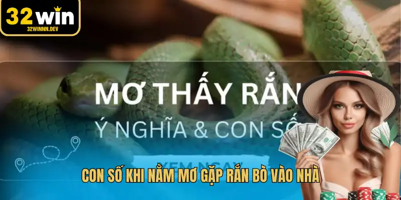 Con số khi nằm mơ gặp rắn bò vào nhà