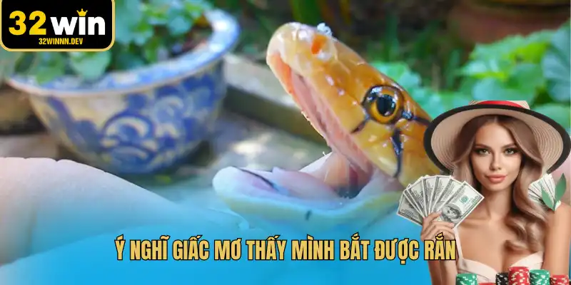 Ý nghĩ giấc mơ thấy mình bắt được rắn